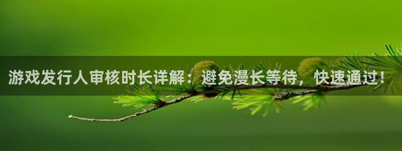 新航娱乐平台最新版本更新内容：游戏发行人审核时长详解：避免漫长等待，快速通过！