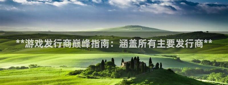 新航娱乐公司扣费流程详解图表：**游戏发行商巅峰指南：涵盖所有主要发行商**