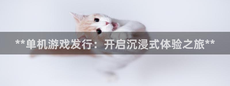 新航娱乐的创始人简介资料：**单机游戏发行：开启沉浸式体验之旅**