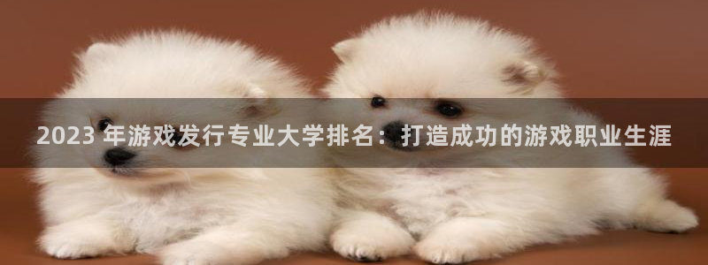 新航娱乐公司旗下艺人：2023 年游戏发行专业大学排名：打造成功的游戏职业生涯