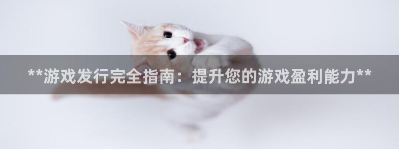 新航娱乐的创始人是谁：**游戏发行完全指南：提升您的游戏盈利能力**