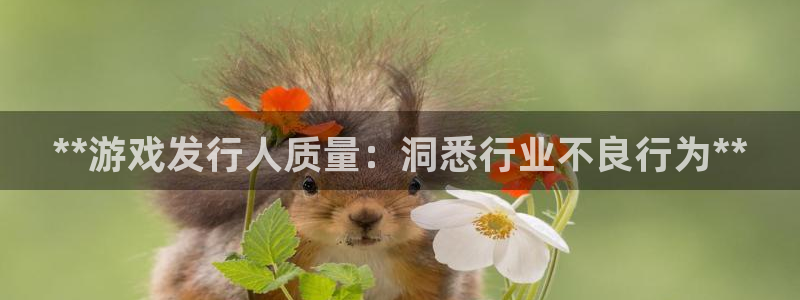 新航娱乐的背景和历史背景是什么：**游戏发行人质量：洞悉行业不良行为**