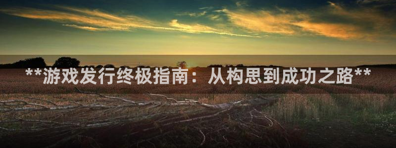 新航娱乐的创始人简介图片：**游戏发行终极指南：从构思到成功之路**