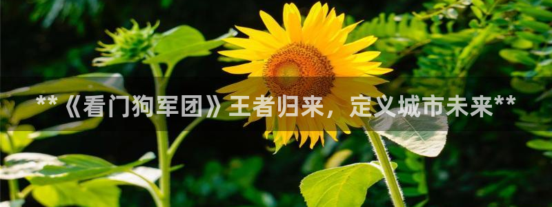 新航娱乐背后的老板：**《看门狗军团》王者归来，定义城市未来**