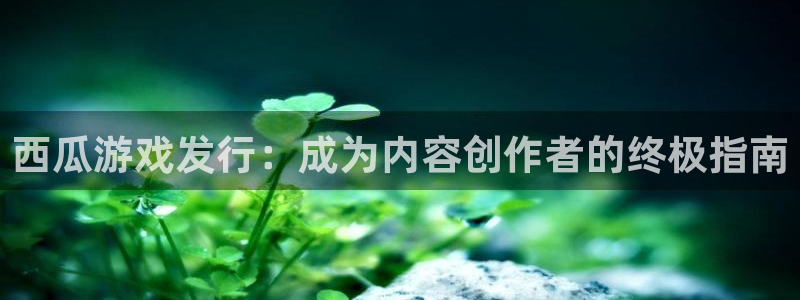 新航娱乐的员工工资福利及待遇：西瓜游戏发行：成为内容创作者的终极指南