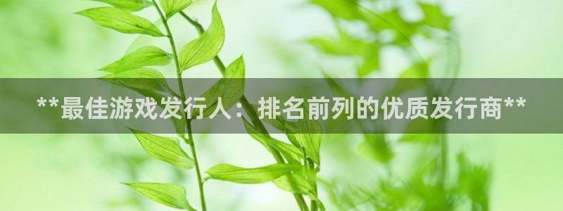 新航娱乐入网要求