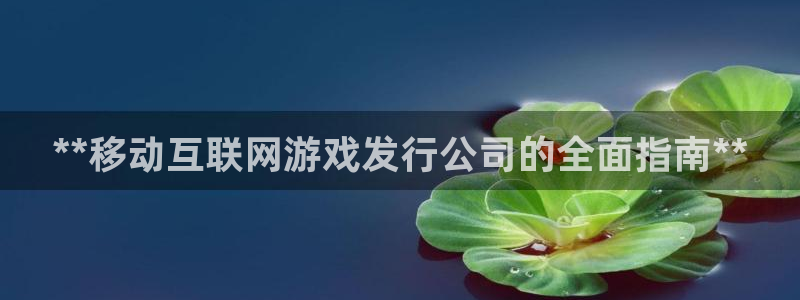 新航娱乐的股东名单和背景介绍：**移动互联网游戏发行公司的全面指南**
