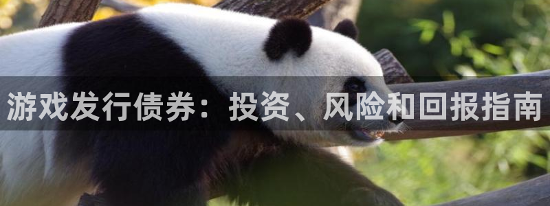 新航娱乐的创始人简介是谁：游戏发行债券：投资、风险和回报指南