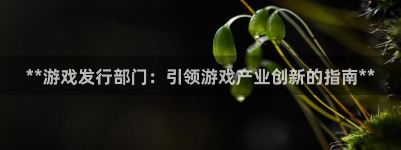新航娱乐公司扣费流程详解视频下载：**游戏发行部门：引领游戏产业创新的指南**