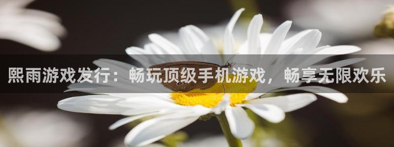 新航娱乐总代理是谁
