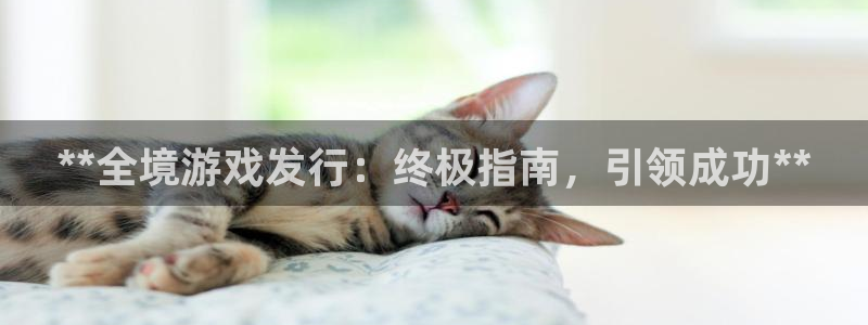 新航娱乐雀7IIII2联他是：**全境游戏发行：终极指南，引领成功**