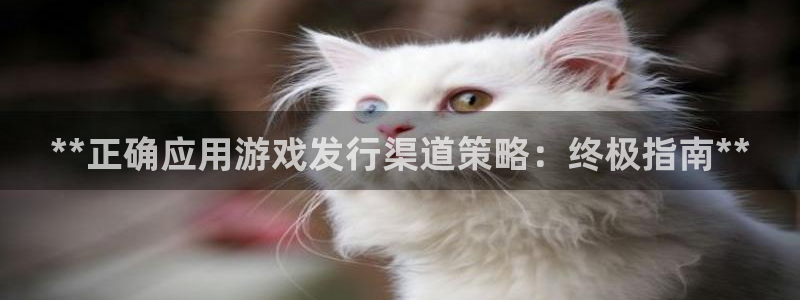 新航娱乐挂机.直开.中国(官方下载)：**正确应用游戏发行渠道策略：终极指南**