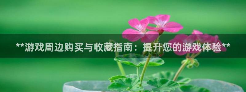新航娱乐旗下平台有哪些：**游戏周边购买与收藏指南：提升您的游戏体验**