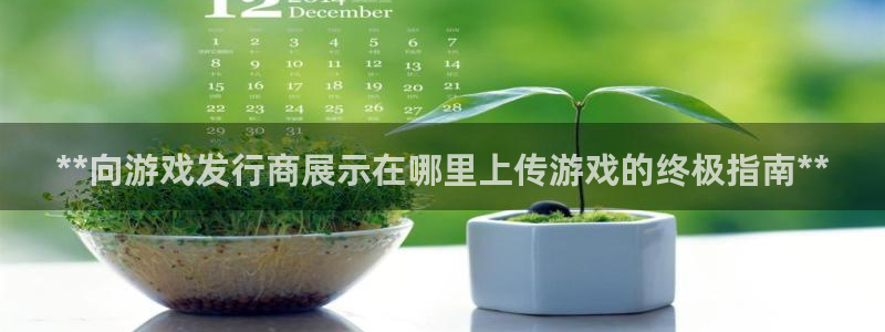新航娱乐扣款921.8元是怎么回事：**向游戏发行商展示在哪里上传游戏的终极指南**