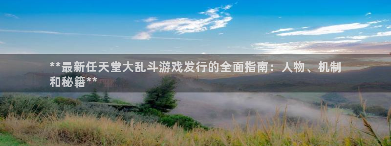 新航娱乐公司扣费流程详解表图片：**最新任天堂大乱斗游戏发行的全面指南：人物、机制
和秘籍**