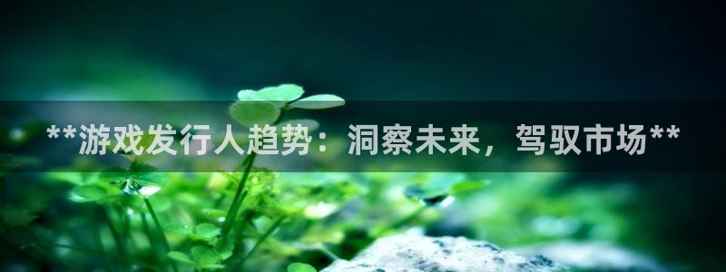 新航娱乐扣费是什么费用啊：**游戏发行人趋势：洞察未来，驾驭市场**