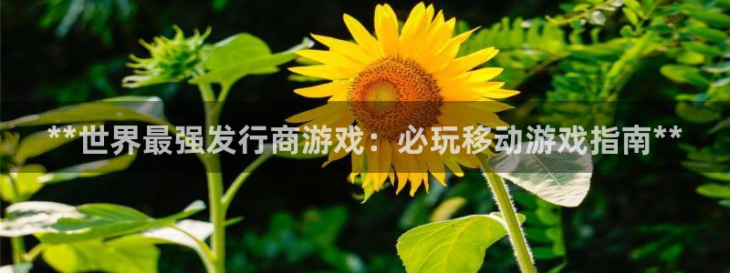 新航娱乐扣款：**世界最强发行商游戏：必玩移动游戏指南**
