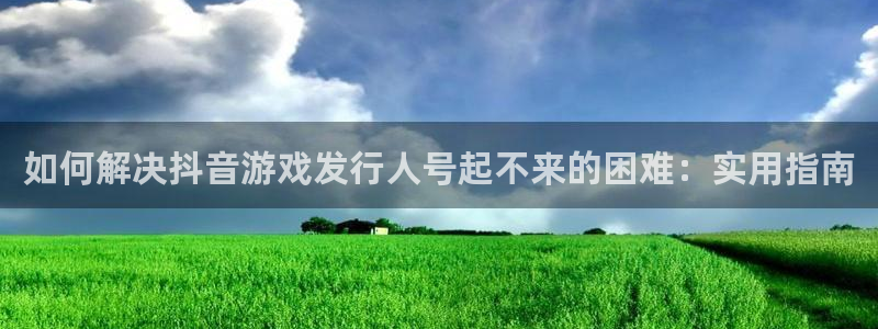 新航娱乐的股东名单和背景介绍：如何解决抖音游戏发行人号起不来的困难：实用指南