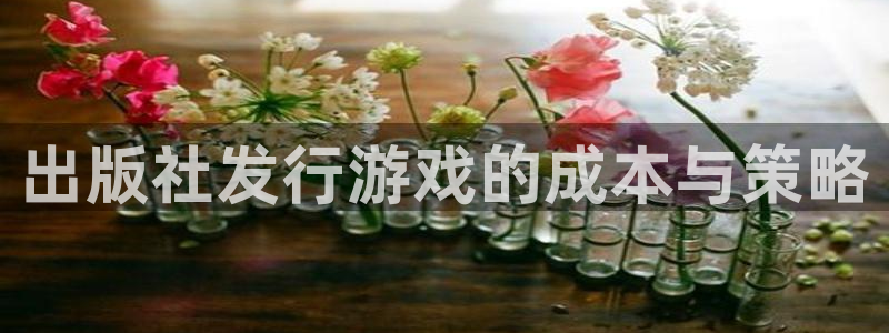 新航娱乐公司简介和历史背景分析：出版社发行游戏的成本与策略