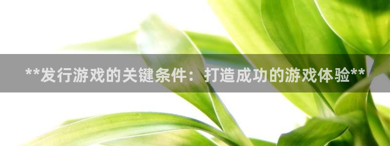 新航娱乐平台用户评价及反馈：**发行游戏的关键条件：打造成功的游戏体验**