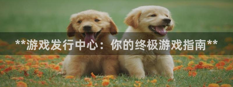 新航娱乐扣款后还能重新扣吗现在：**游戏发行中心：你的终极游戏指南**