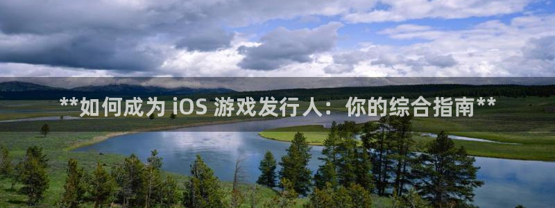 新航娱乐公司扣费流程详解表格：**如何成为 iOS 游戏发行人：你的综合指南**