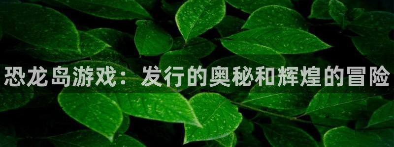 新航娱乐公司扣费流程详解表图片：恐龙岛游戏：发行的奥秘和辉煌的冒险
