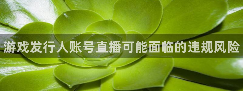 新航娱乐app手机版官网下载安装