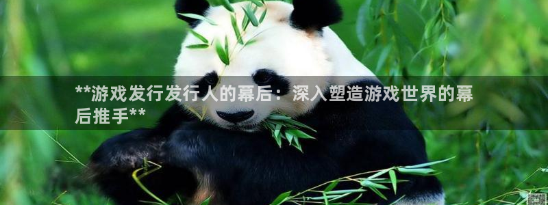 新航娱乐的创始人简介是谁：**游戏发行发行人的幕后：深入塑造游戏世界的幕
后推手**