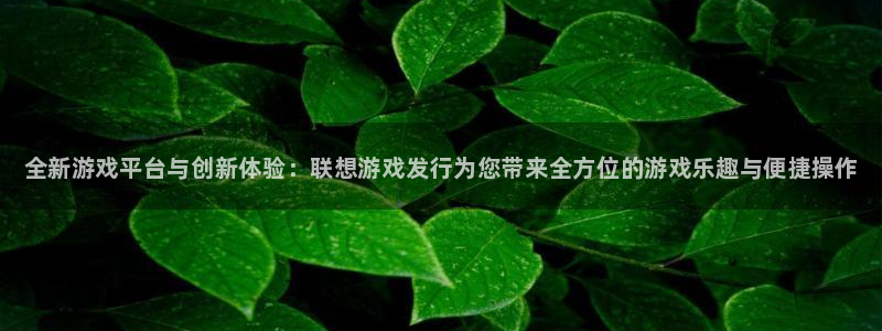 新航娱乐app手机版特色功能介绍在哪