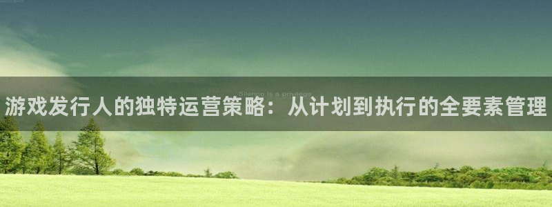 新航娱乐集团最新消息官网：游戏发行人的独特运营策略：从计划到执行的全要素管理