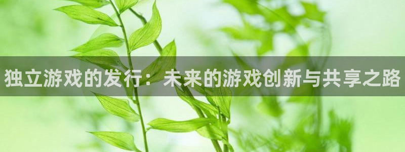 新航娱乐app最新版本更新内容是什么呢：独立游戏的发行：未来的游戏创新与共享之路