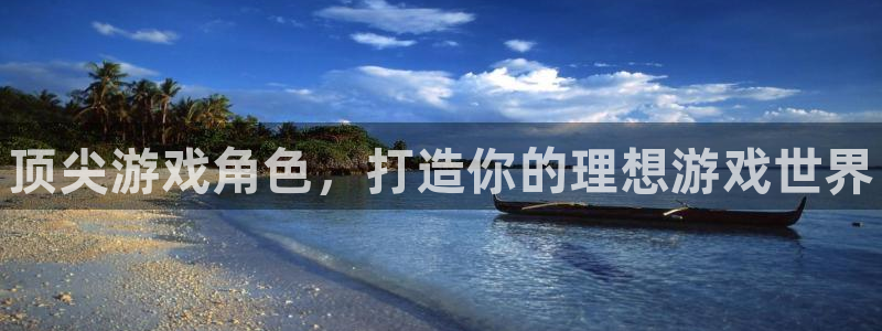 新航娱乐公司扣费流程详解图：顶尖游戏角色，打造你的理想游戏世界