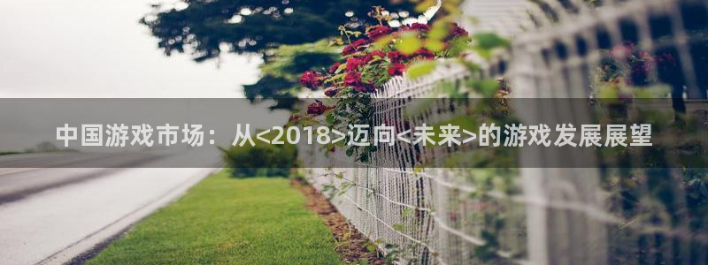 新航娱乐扣款7IIII会怎样：中国游戏市场：从<2018>迈向<未来>的游戏发展展望