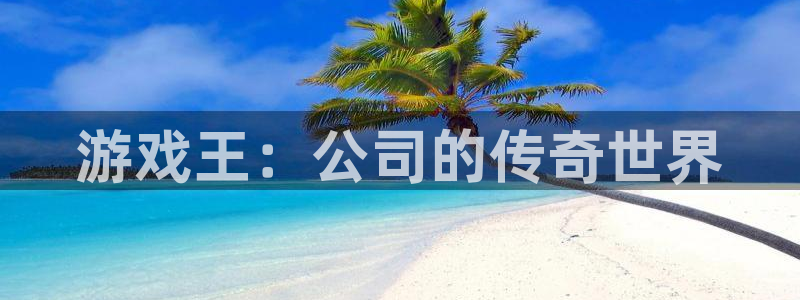 新航娱乐旗下艺人名单表