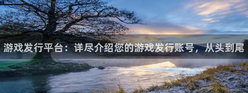 新航娱乐的创始人背景介绍：游戏发行平台：详尽介绍您的游戏发行账号，从头到尾