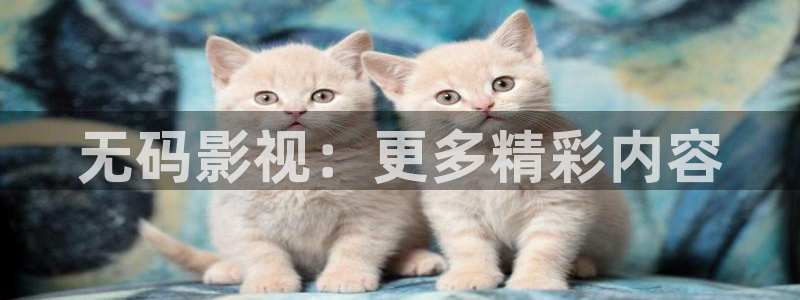 天空视频下载免费观看
