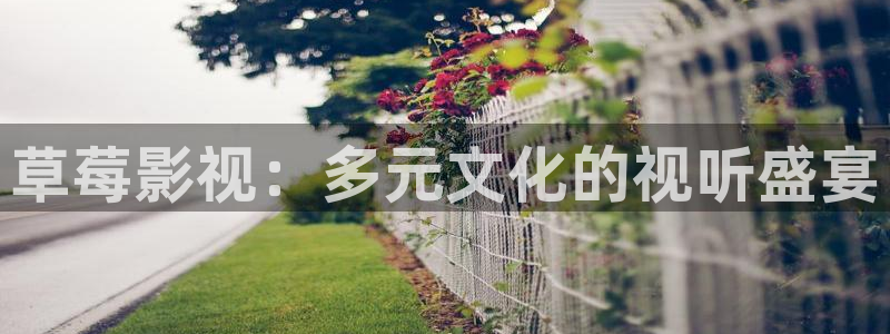 打开我天空在线观看