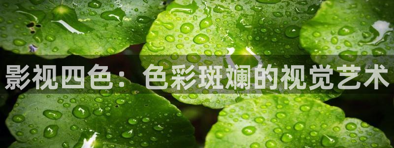 滚动的天空简单版下载