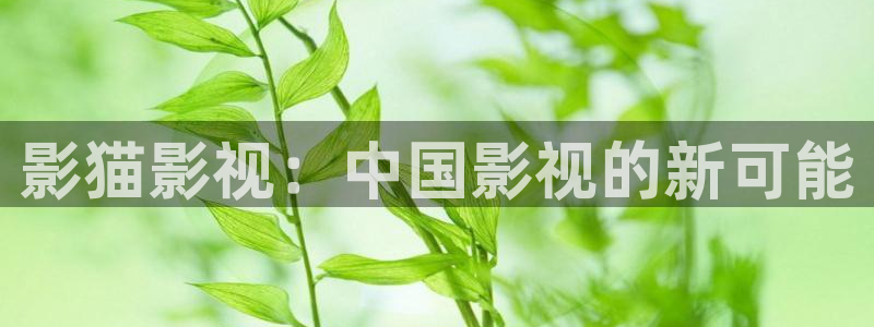 天空影视大全2024