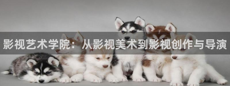 天空之上三公尺电影免费完整版